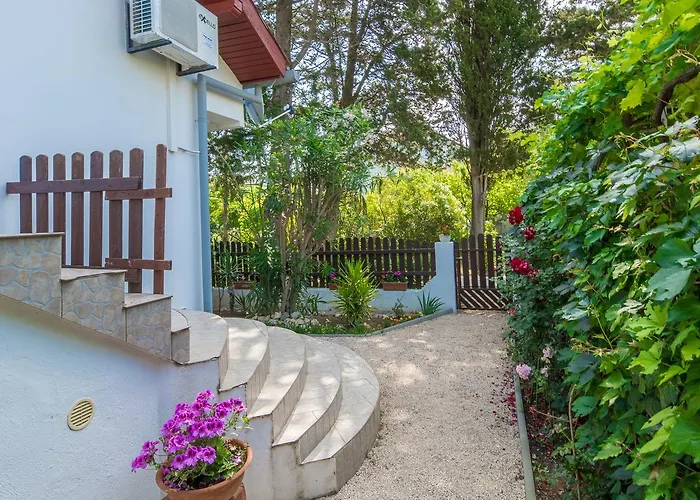 Apartament Kiara Sabunike 836 Privlaka (Zadar)