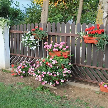 Kiara Sabunike 836 * Privlaka (Zadar)