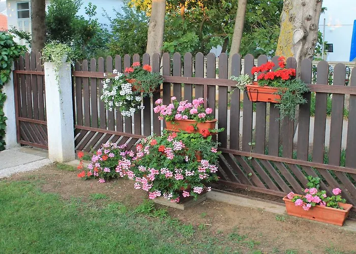 Kiara Sabunike 836 * 普利拉卡